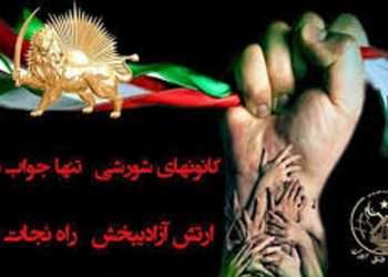 پاسخ سرنگونی،قیام سازمانیافته
