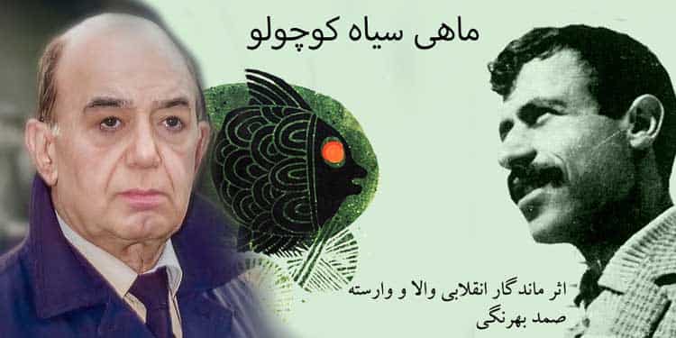 جهان بینی ماهی سیاه کوچولو؛ زنده یاد منوچهر هزارخانی