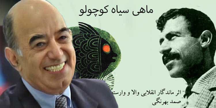 جهان بینی ماهی سیاه کوچولو؛ زنده یاد منوچهر هزارخانی