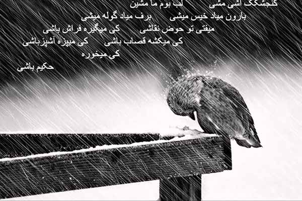 گنجشکک اشی مشی