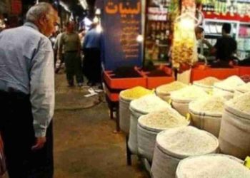 افزایش قیمت برنج در ایران و واردات بی‌رویه