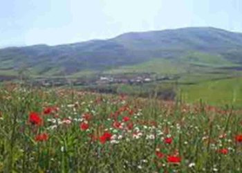 مردم نهرآب و خرابکاری های سپاە پاسداران!