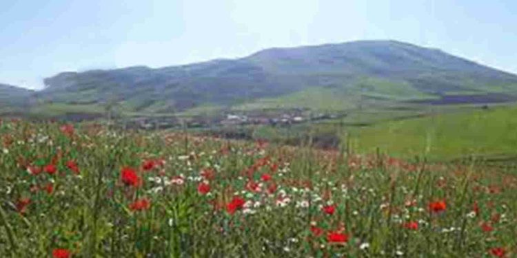 مردم نهرآب و خرابکاری های سپاە پاسداران!