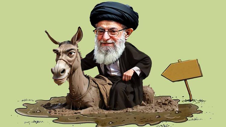 شاهرخی، نمی‌بیند حکومت خامنه‌ای به گل نشسته است!